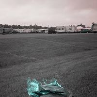 Linda Fields Photo 6