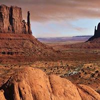 Roger Wolf Photo 8
