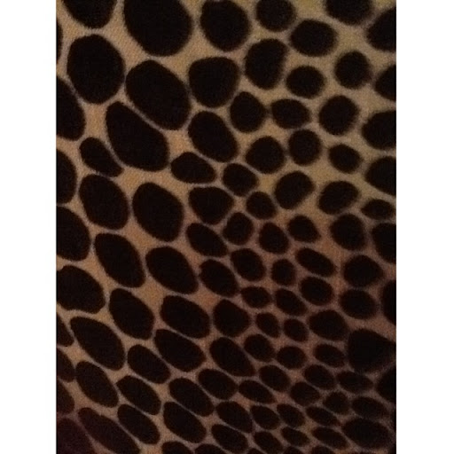 Lynn Rich Photo 18
