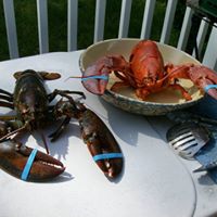 Ron Mcclain Photo 9