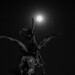 Angel Oliverio Photo 10