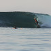 Stephen Rote Photo 5