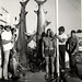 Ted Smits Photo 13