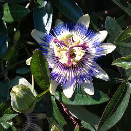 Maria Skinner Photo 37