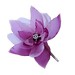 Ruby Cherry Photo 6