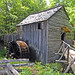 John Cable Photo 15