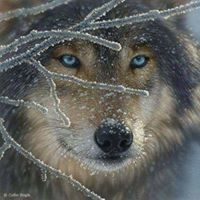 Crystal Strickland Photo 24