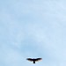 Amy Hawk Photo 20