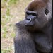 Andrew Aller Photo 17