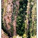 Paul Sauer Photo 17