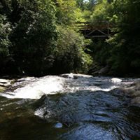 Allison Blevins Photo 16