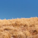 Tracy Cunningham Photo 17