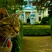 Anne Gough Photo 19