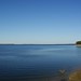 Rayburn Free Photo 2
