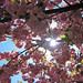 Glen Long Photo 14