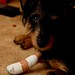 Charlie Hurt Photo 35