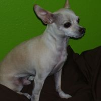Rocky Rhoades Photo 4