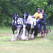 Jeff Marshall Photo 37