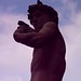 David Tocco Photo 8