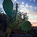 Mark Chavez Photo 11