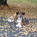 Mark Somers Photo 16