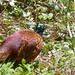 Gerald Lord Photo 12