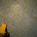 Paul Starling Photo 11
