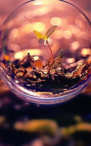 Kelly Fortune Photo 3
