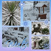 Cynthia Winters Photo 21