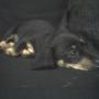 Karen Mobley Photo 4