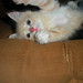 Nathaniel Grant Photo 10