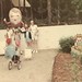 Nancy Dyer Photo 9
