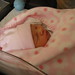 Michelle Connelly Photo 16