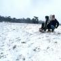 Stephen Goodman Photo 41