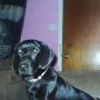 Mary Bonnette Photo 10