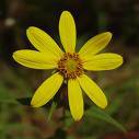 James York Photo 27