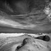 Lisa Webster Photo 17