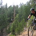Kevin Fischer Photo 34