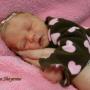 Brandi Shelton Photo 22