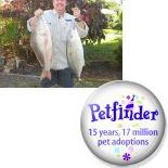 Stephen Saunders Photo 26