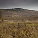 Kimberly Olds Photo 6