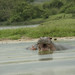 Elizabeth Wild Photo 18