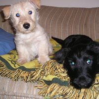 Sue Clark Photo 35