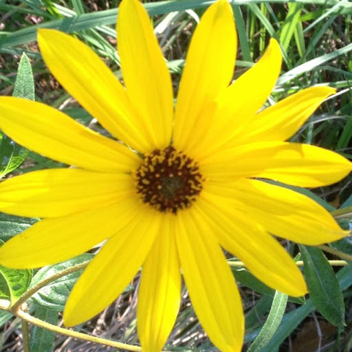 Kimberly Sonnier Photo 13