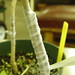 John Griffis Photo 8