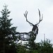 Steven Conaway Photo 21