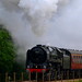 Oliver Fuller Photo 7