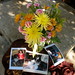 Teresa Stanfield Photo 4