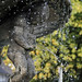 Michael Krupp Photo 10