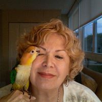 Susan Liss Photo 21
